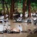 Number Of Missing In Texas Flood Drops From Nearly 100 to 3